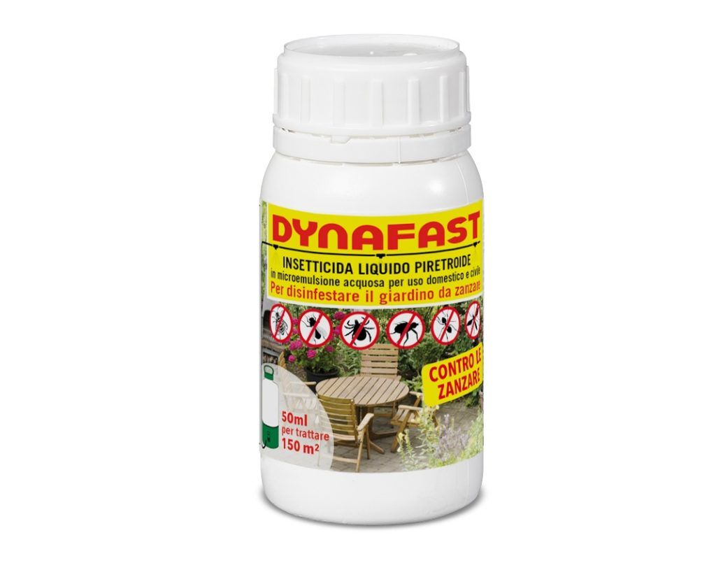 97924_Dynafast_img-1024x825.jpg