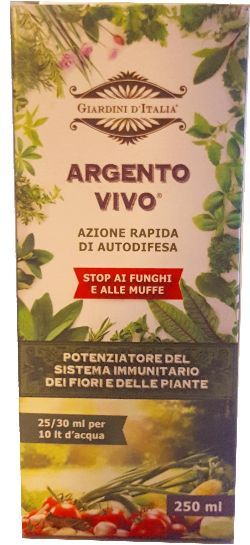 argento-vivo-cartone-pic.jpg